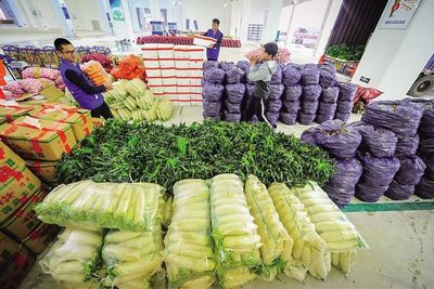 10元10斤菜！特價暖心傳遞農副產品溫情
