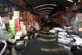 上海一淤泥處理場圍墻倒塌致農(nóng)副產(chǎn)品市場被淹，應(yīng)急處置工作展開
